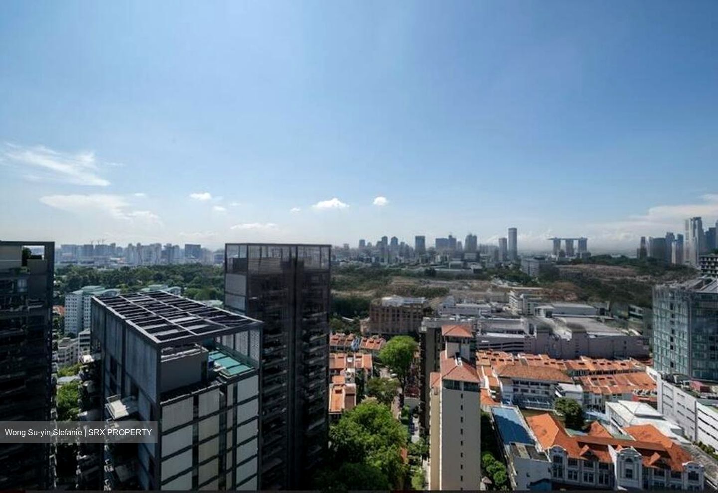 Cairnhill Nine (D9), Apartment #471346131